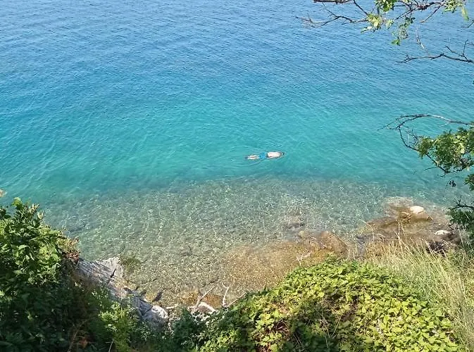 Zlatko